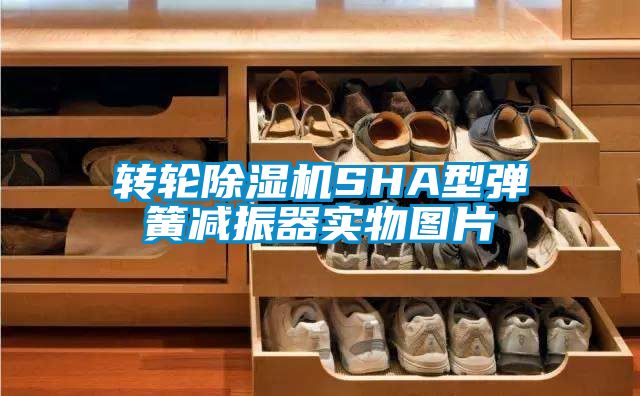转轮黄瓜视频下载污机SHA型弹簧减振器实物图片