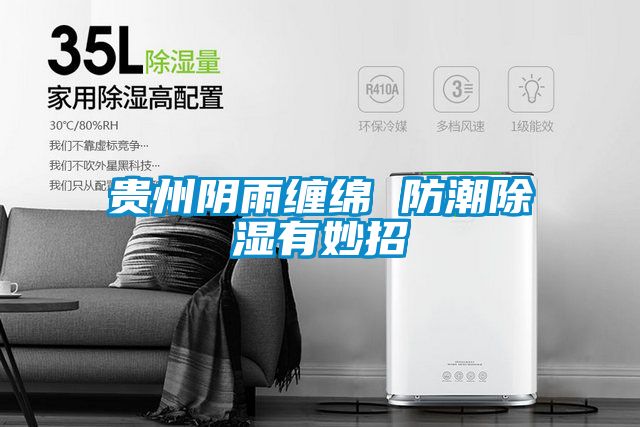 贵州阴雨缠绵 防潮黄瓜视频下载污有妙招