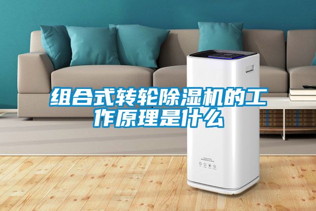 组合式转轮黄瓜视频下载污机的工作原理是什么
