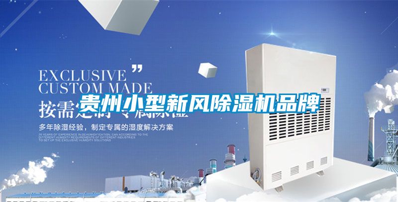 贵州小型新风黄瓜视频下载污机品牌