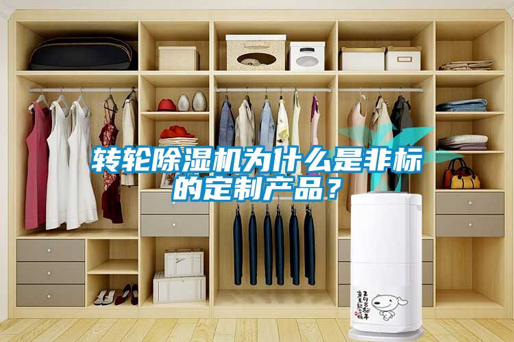 转轮黄瓜视频下载污机为什么是非标的定制产品？