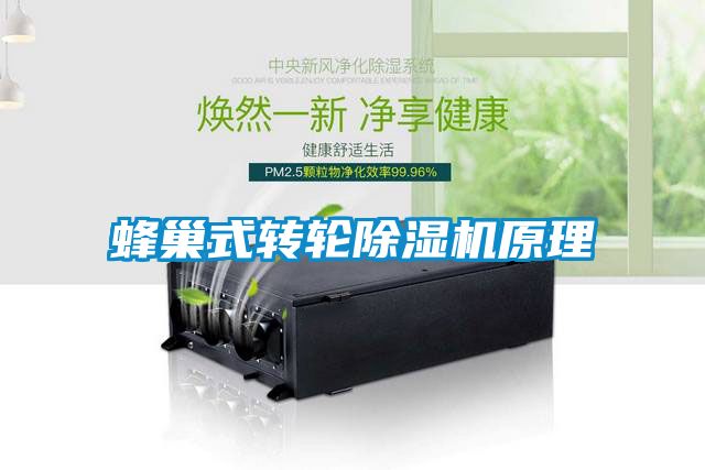 蜂巢式转轮黄瓜视频下载污机原理