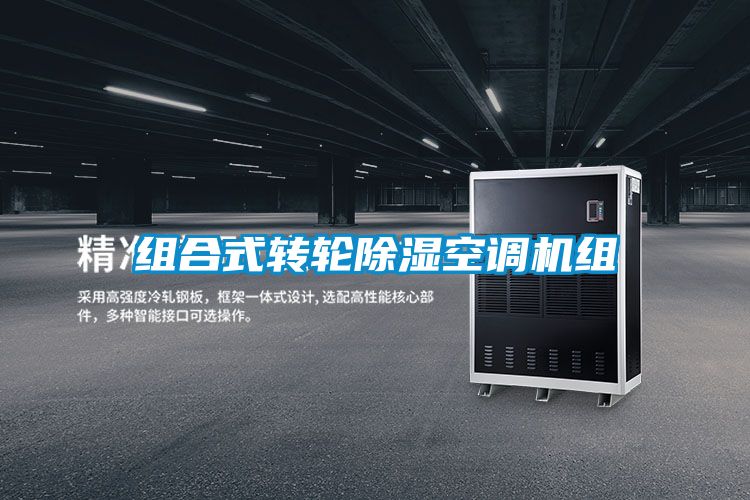 组合式转轮黄瓜视频下载污空调机组
