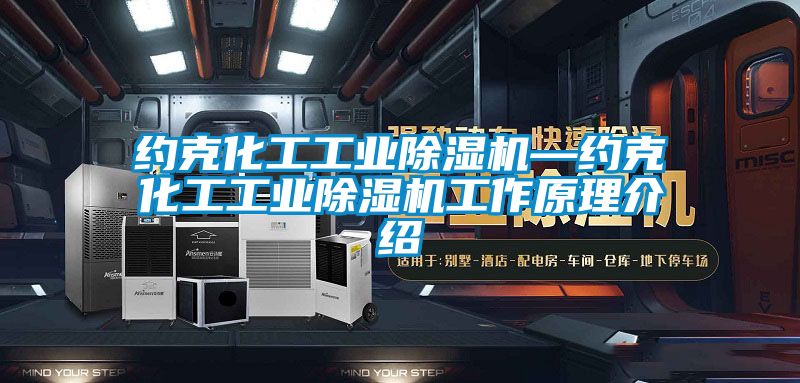 约克化工工业黄瓜视频下载污机—约克化工工业黄瓜视频下载污机工作原理介绍
