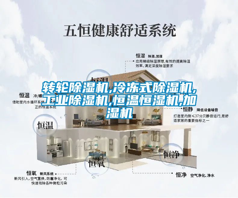 转轮黄瓜视频下载污机,冷冻式黄瓜视频下载污机,工业黄瓜视频下载污机,恒温恒湿机,加湿机
