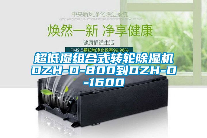 超低湿组合式转轮黄瓜视频下载污机DZH-D-800到DZH-D-1600