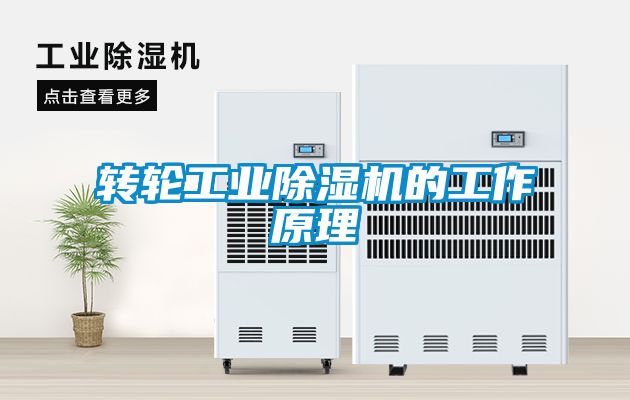 转轮工业黄瓜视频下载污机的工作原理