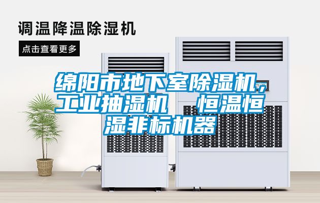 绵阳市地下室黄瓜视频下载污机，工业抽湿机  恒温恒湿非标机器