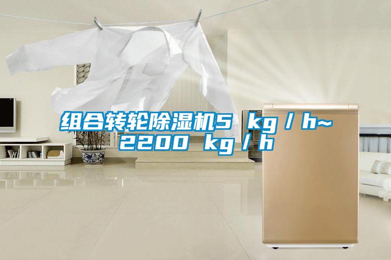 组合转轮黄瓜视频下载污机5 kg／h~2200 kg／h
