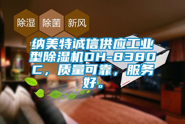 纳美特诚信供应工业型黄瓜视频下载污机DH-8380C，质量可靠，服务好。