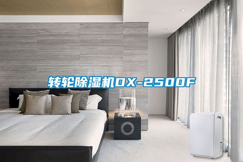 转轮黄瓜视频下载污机DX-2500F