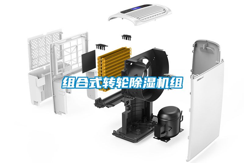 组合式转轮黄瓜视频下载污机组