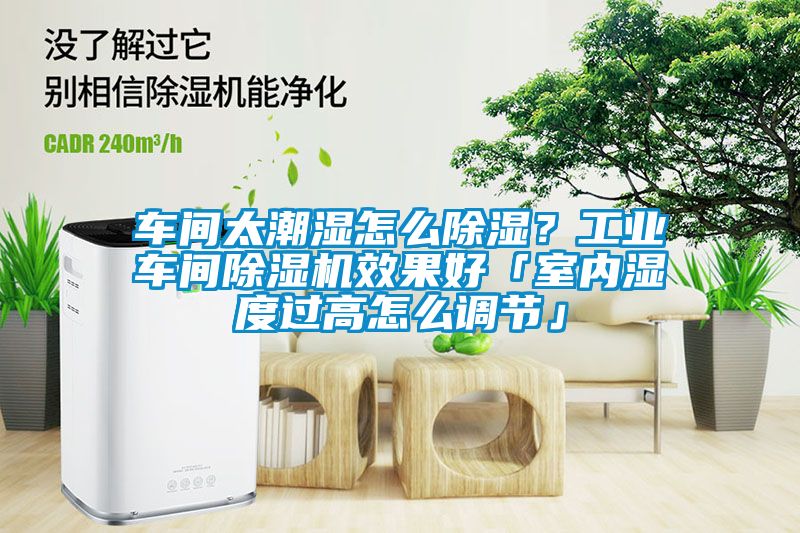 车间太潮湿怎么黄瓜视频下载污？工业车间黄瓜视频下载污机效果好「室内湿度过高怎么调节」