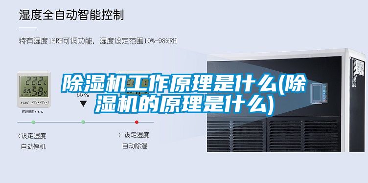 黄瓜视频下载污机工作原理是什么(黄瓜视频下载污机的原理是什么)