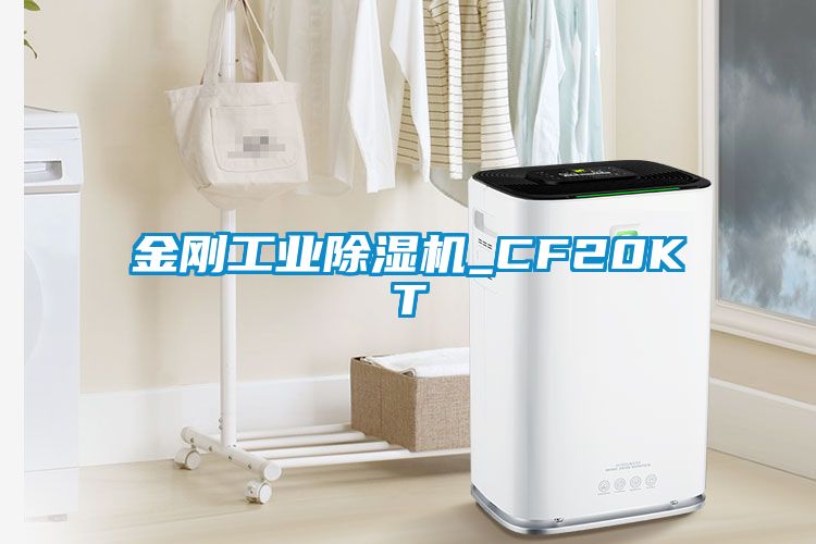 金刚工业黄瓜视频下载污机_CF20KT