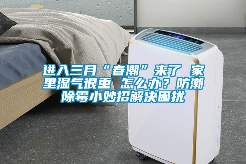 进入三月“春潮”来了 家里湿气很重 怎么办？防潮除霉小妙招解决困扰
