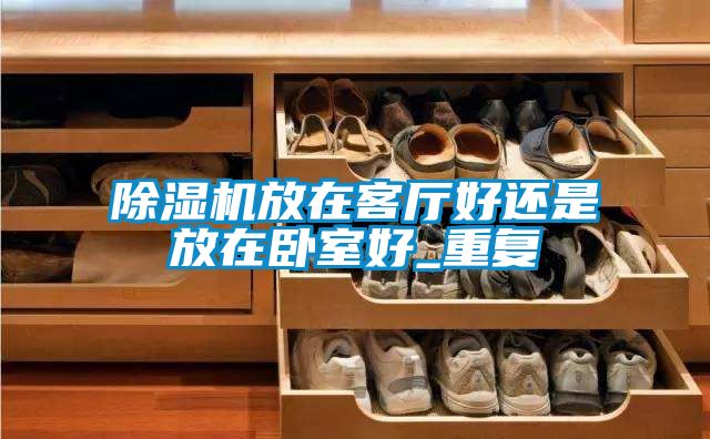 黄瓜视频下载污机放在客厅好还是放在卧室好_重复
