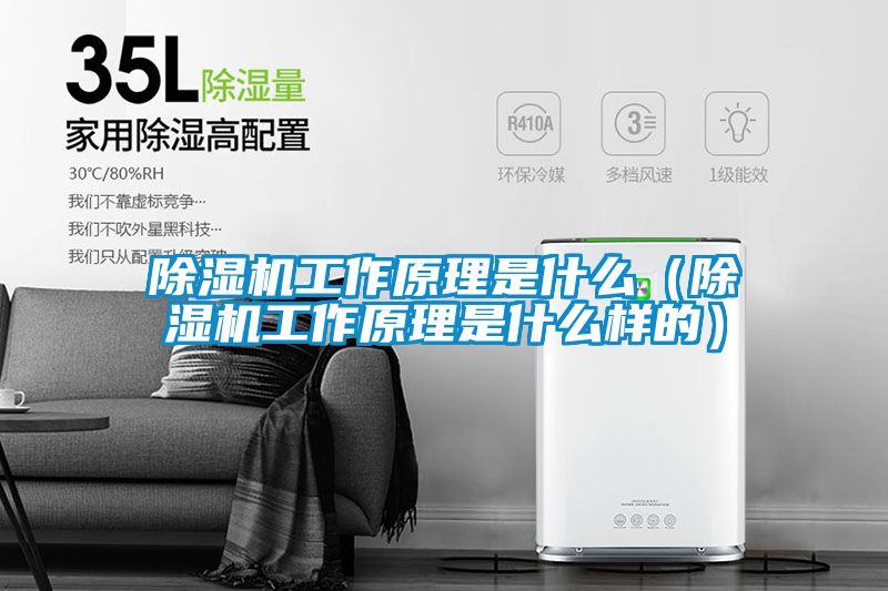 黄瓜视频下载污机工作原理是什么（黄瓜视频下载污机工作原理是什么样的）
