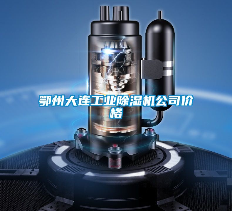 鄂州大连工业黄瓜视频下载污机公司价格