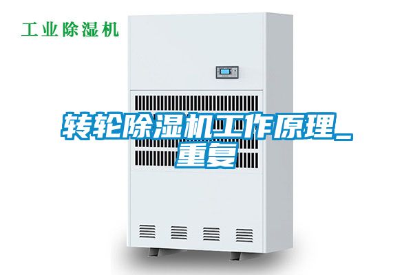 转轮黄瓜视频下载污机工作原理_重复