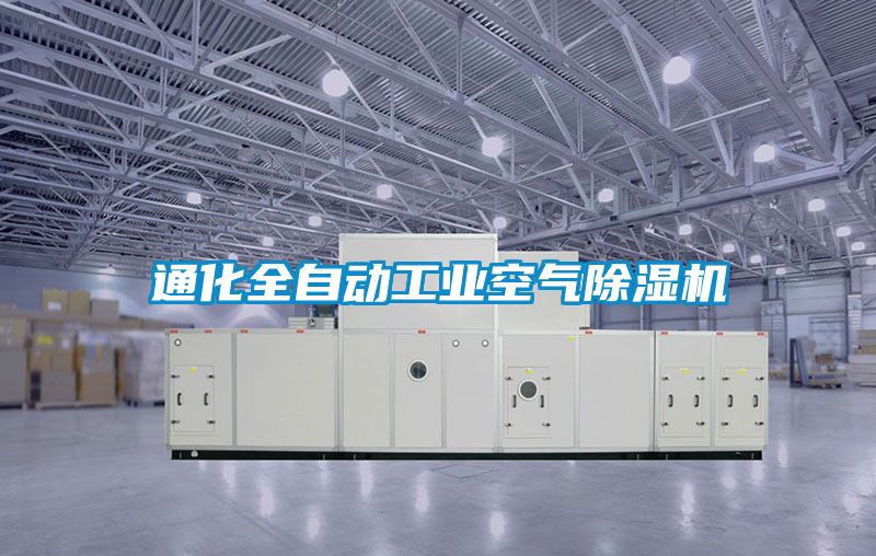 通化全自动工业空气黄瓜视频下载污机