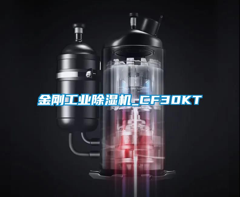 金刚工业黄瓜视频下载污机_CF30KT