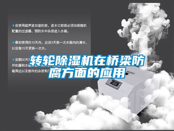 转轮黄瓜视频下载污机在桥梁防腐方面的应用