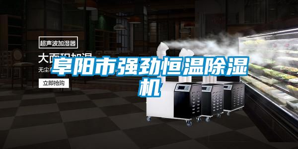 阜阳市强劲恒温黄瓜视频下载污机