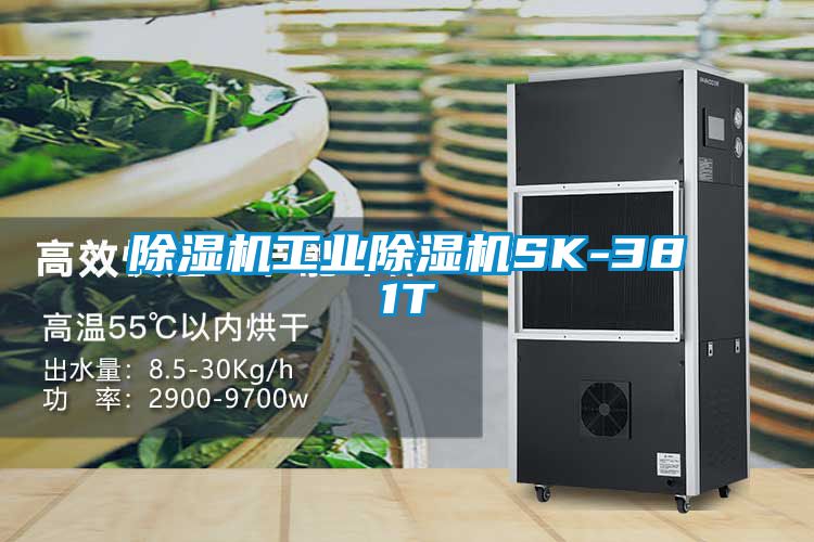 黄瓜视频下载污机工业黄瓜视频下载污机SK-381T