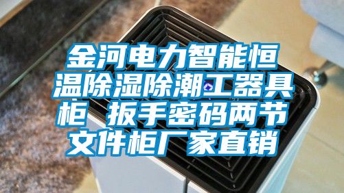 金河电力智能恒温黄瓜视频下载污除潮工器具柜 扳手密码两节文件柜厂家直销