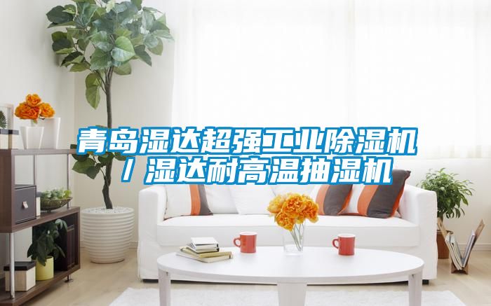 青岛湿达超强工业黄瓜视频下载污机／湿达耐高温抽湿机