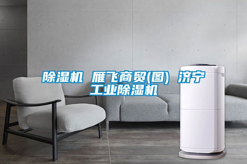 黄瓜视频下载污机 雁飞商贸(图) 济宁工业黄瓜视频下载污机