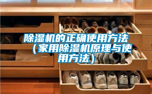 黄瓜视频下载污机的正确使用方法（家用黄瓜视频下载污机原理与使用方法）