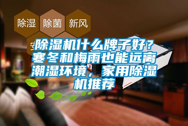 黄瓜视频下载污机什么牌子好？寒冬和梅雨也能远离潮湿环境，家用黄瓜视频下载污机推荐