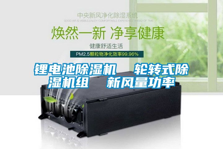 锂电池黄瓜视频下载污机  轮转式黄瓜视频下载污机组  新风量功率