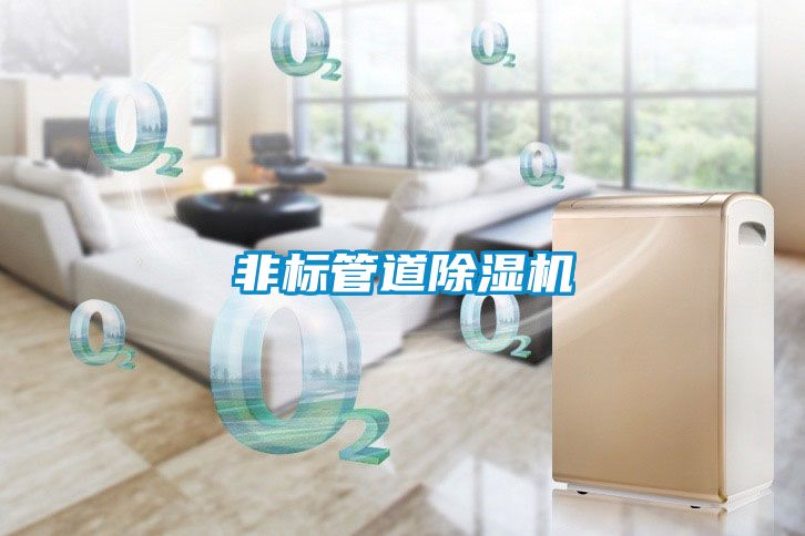非标管道黄瓜视频下载污机