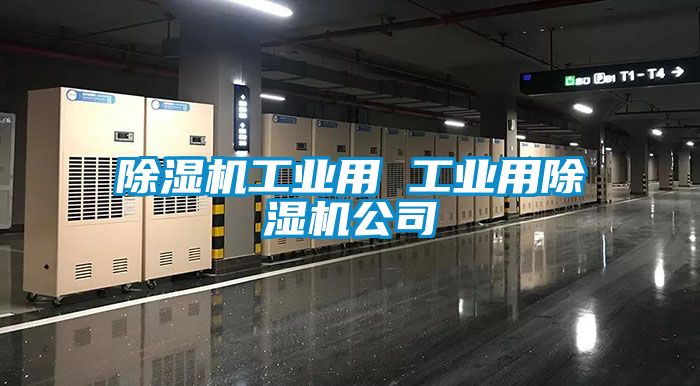 黄瓜视频下载污机工业用 工业用黄瓜视频下载污机公司
