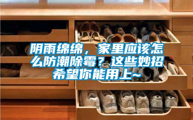 阴雨绵绵，家里应该怎么防潮除霉？这些妙招希望你能用上~