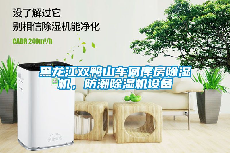 黑龙江双鸭山车间库房黄瓜视频下载污机，防潮黄瓜视频下载污机设备