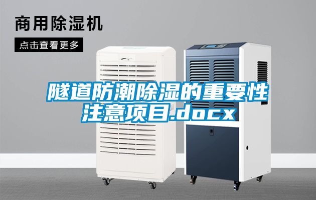 隧道防潮黄瓜视频下载污的重要性注意项目.docx