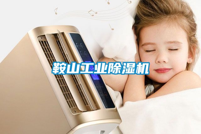 鞍山工业黄瓜视频下载污机
