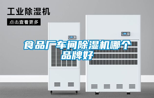 食品厂车间黄瓜视频下载污机哪个品牌好