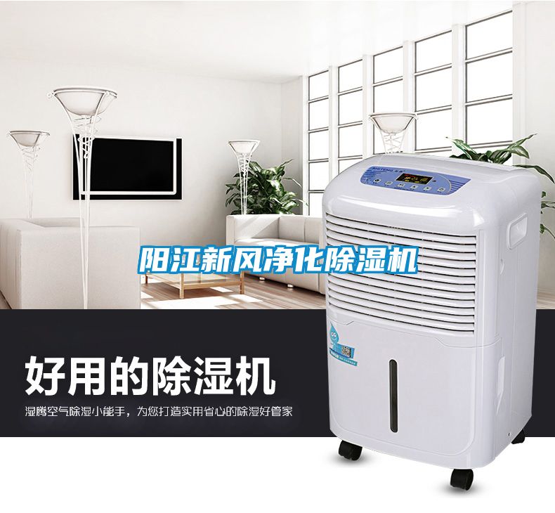 阳江新风净化黄瓜视频下载污机
