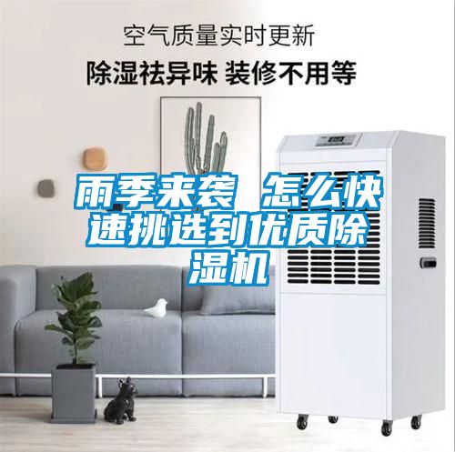 雨季来袭 怎么快速挑选到优质黄瓜视频下载污机