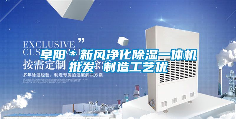 阜阳＊新风净化黄瓜视频下载污一体机批发 制造工艺优