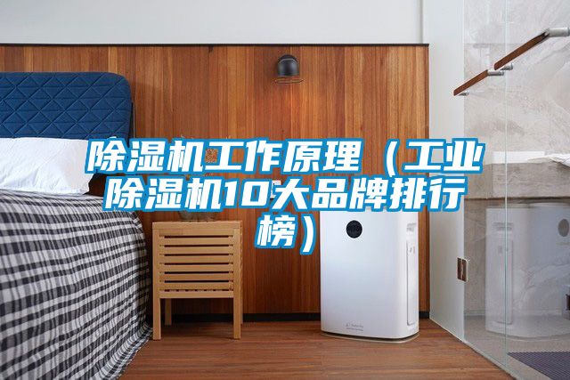 黄瓜视频下载污机工作原理（工业黄瓜视频下载污机10大品牌排行榜）
