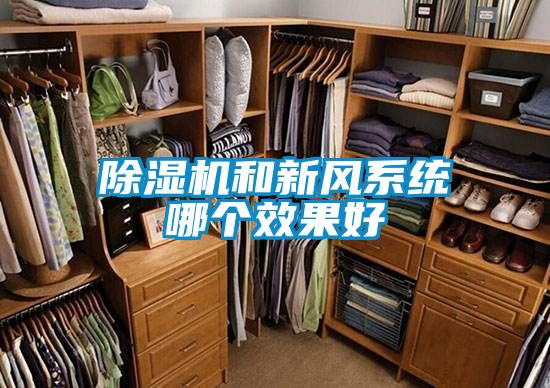 黄瓜视频下载污机和新风系统哪个效果好