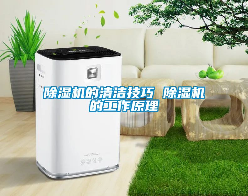 黄瓜视频下载污机的清洁技巧 黄瓜视频下载污机的工作原理