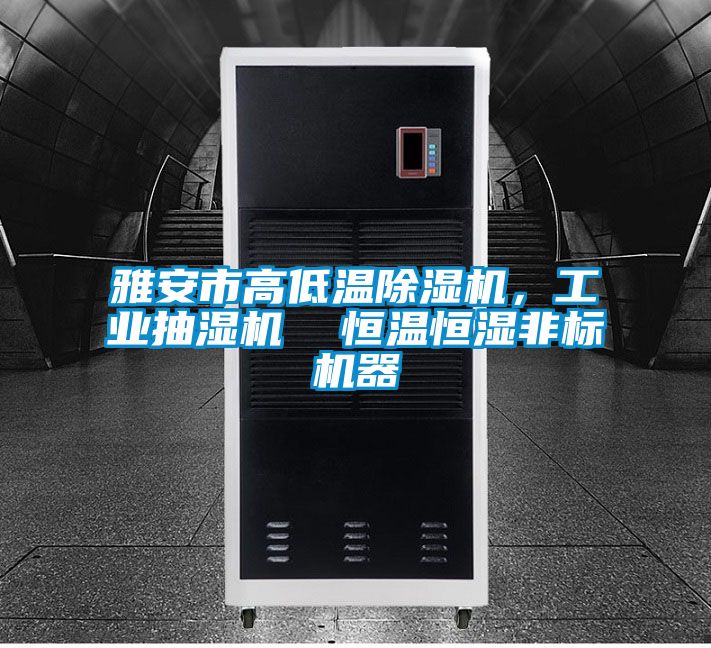雅安市高低温黄瓜视频下载污机，工业抽湿机  恒温恒湿非标机器