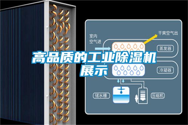 高品质的工业黄瓜视频下载污机展示